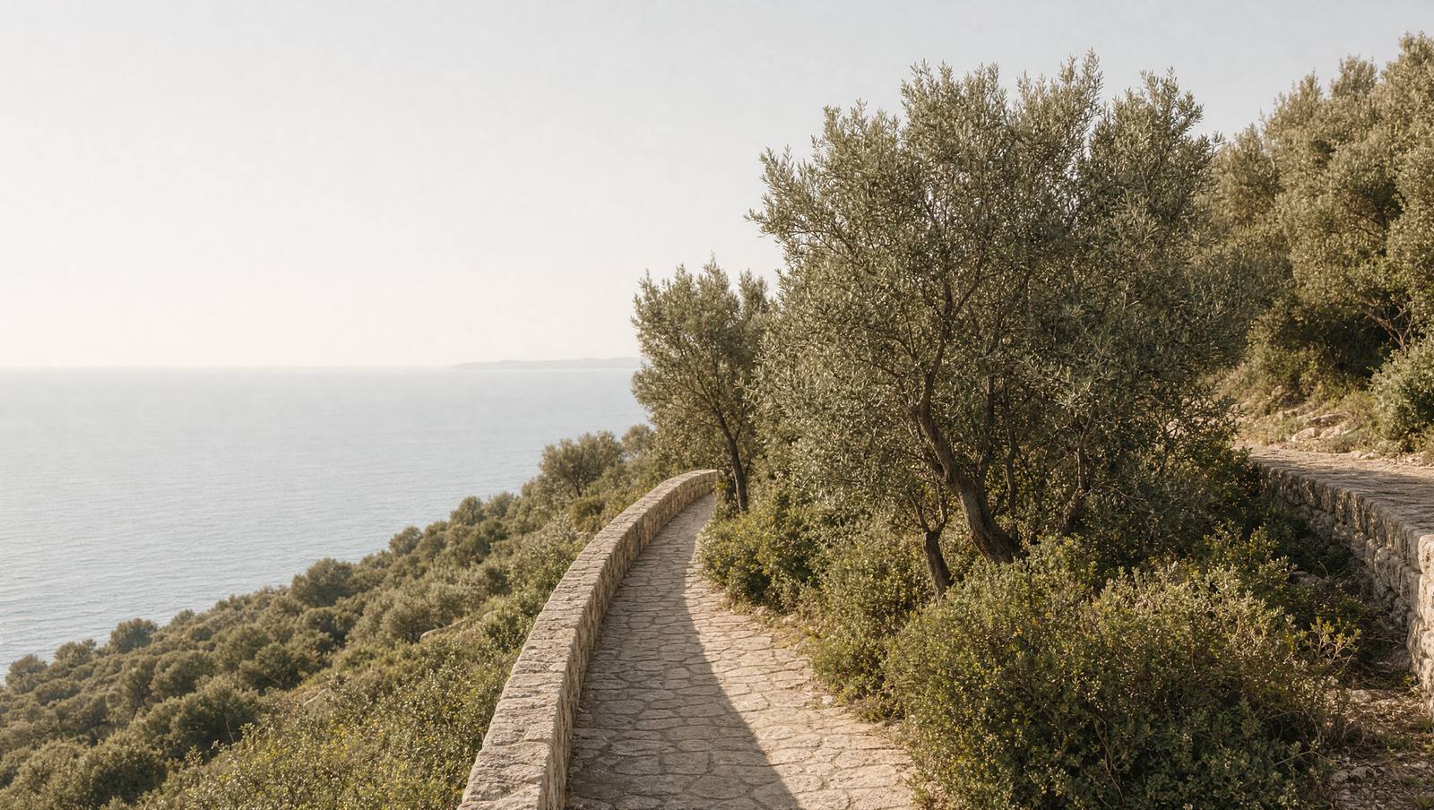 Sentiero tra gli ulivi sul mare